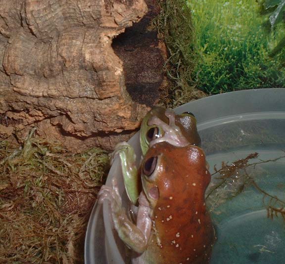 smilecouplebackview1