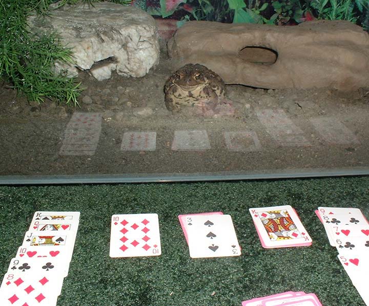 solitaire4w