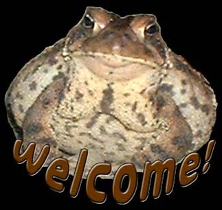 Welcome graphic of Kisco the Toad